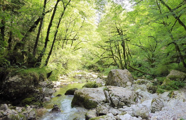 Apartment in Valbelluna Near Dolomites - Foto 31