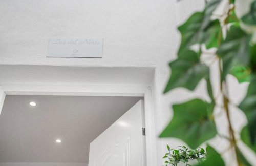 Luz del Norte - Foto 24