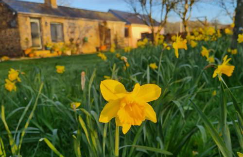 The Old Pottery, Unique Views & Spa-like Bathroom - Foto 13