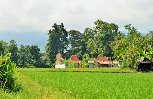 Joglo at Lata Lama - Foto 53