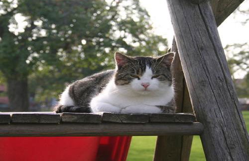 Franzenhof Markhart - Photo 74