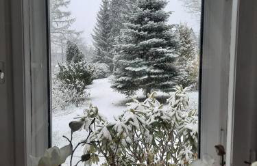 Dworek nad Potokiem - Photo 31