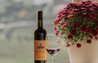 Casa do Salgueiral - Foto 18