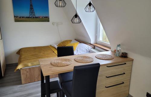 Apartament Pod Radiostacją -Gliwice Tarnogórska, parking free, klimatyzacja - Foto 4