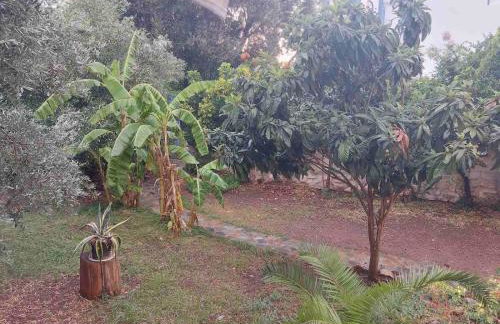 Vitamin sea Studio - Foto 34