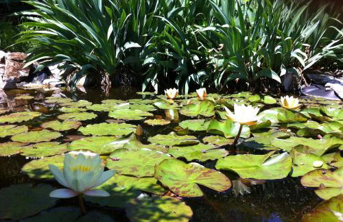 Apartment Basanija 7149b - Foto 11