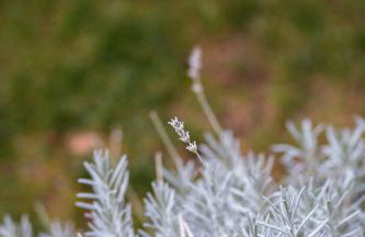 Peaceful Family Apartment with PRIVATE GARAGE Free Parking, Split - Foto 46