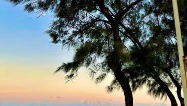 Seaside Refuge - Foto 2