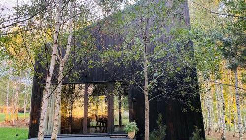 Drewniany dom w brzozowisku - Foto 4