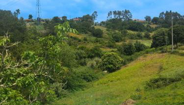 Quinta da Casa Azul - Foto 2