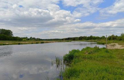 Leśniczówka Zielone Zakole - Foto 34