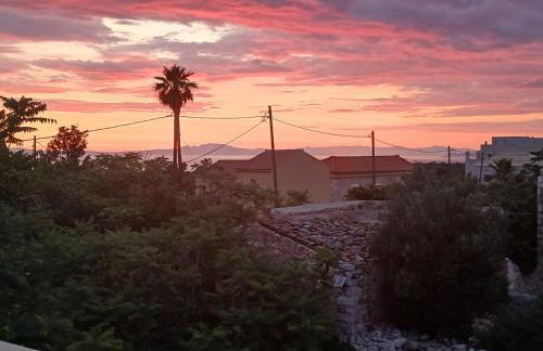 Pandera areopoli - Foto 8