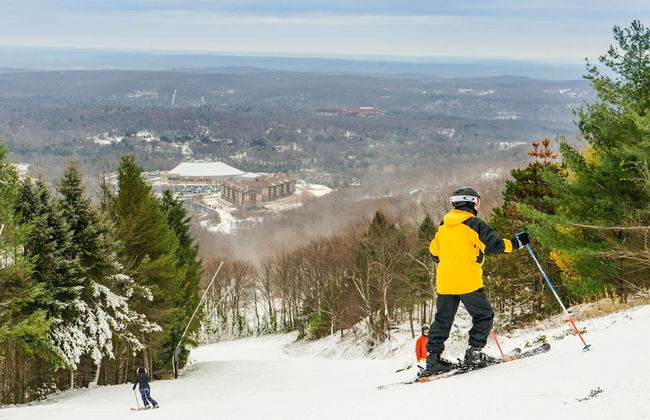 2900sqft villa near ski & snowboarding - Foto 36