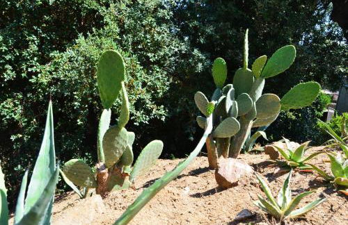 Sea view, Wonderful pool, Nature, Peaceful & AC - Foto 26