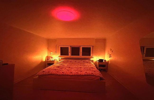 VICTOR SAINT LOUIS - Foto 7