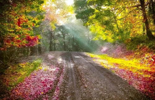 Corner Cottage - Foto 13