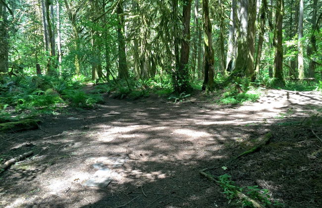 04SL - Hot Tub - BBQ - Pets OK - Sleeps 5 - Foto 16