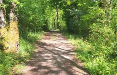 Jolie maison entière 2 chambres 1 jardin - Foto 6