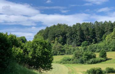 NEU Feinzeit Chalet mit privater Sauna - Foto 69