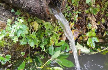 Rapunzel trifft Dornröschen - Foto 25