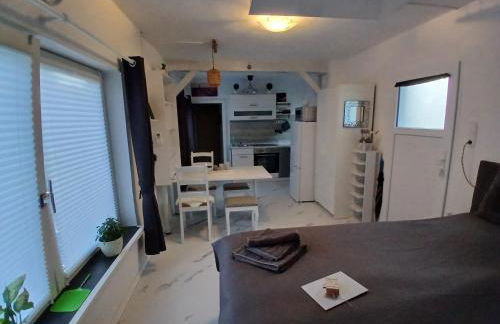 Chillkröte - Foto 49