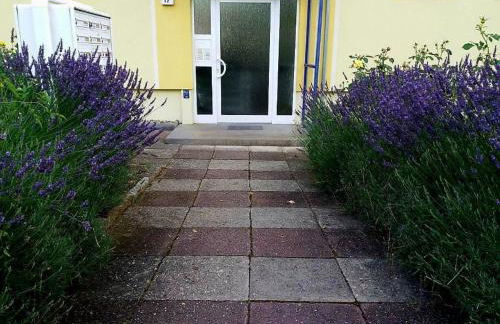 Helles Apartment mit Balkon am Großen Garten nahe Stadtzentrum - Foto 32