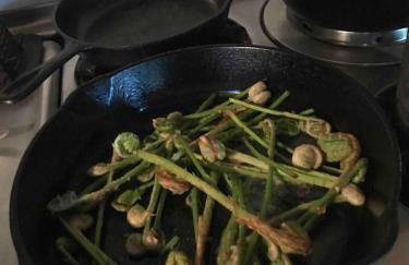 Rustic Cabin Retreat on the Ten Mile River in Narrowsburg, New York - Foto 53