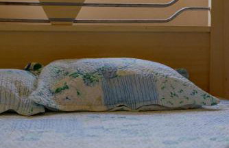 Casa de Família (Campo) - Foto 24