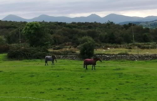 The Horsebox, unexpected luxury - Foto 19