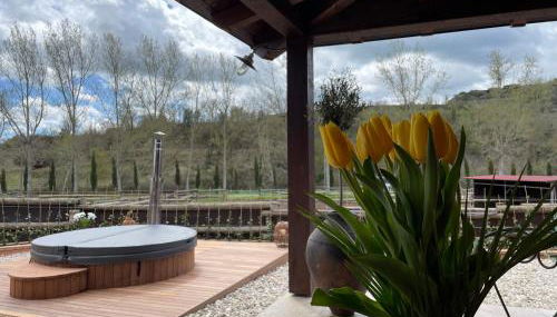 Touristic Ballonga Horses - Foto 5