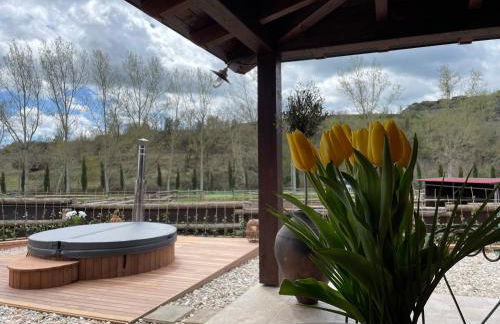 Touristic Ballonga Horses - Foto 5