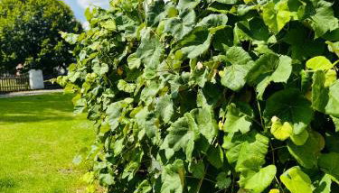 Pensjonat Eden Apartament 8 - Foto 5