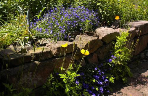 Plein Sud vue sur les Vosges et le vignoble - Foto 40