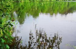 Domek U Justyny - Foto 30