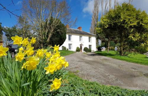 Penygelli Apartments - Foto 17