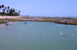 Genipabu Summer House Guarajuba - Foto 13