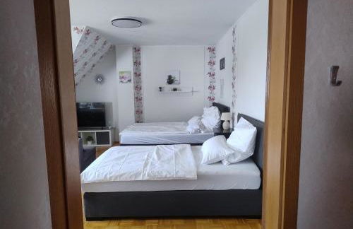 Geräumiges Appartment Nahe Hannover Messe - Foto 1