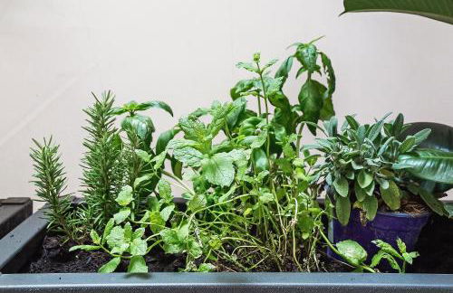 Loft35 - Loft con Vasca Idromassaggio nel Cuore di Palermo - Foto 33