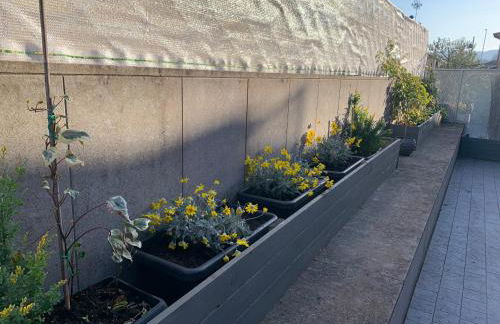 La Terrazza - Foto 3