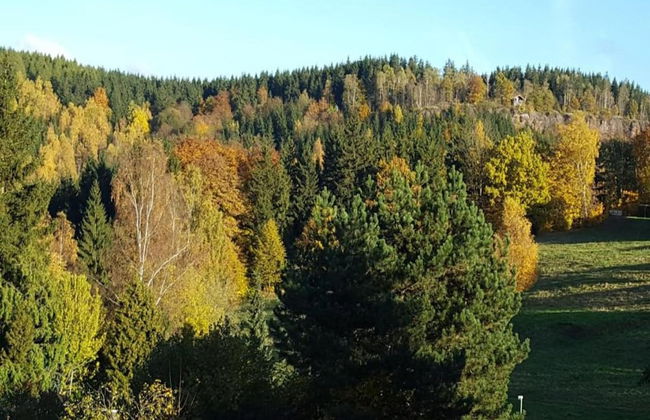 Sunny Terrace & Quiet Stay - Foto 24