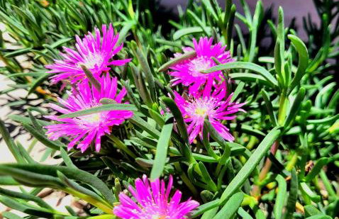 Chalé Gravatinha - Foto 12