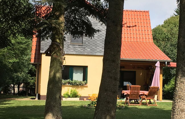 Ferienhaus Mirow-Lärz - Kamin Wald Ruhe - Foto 52