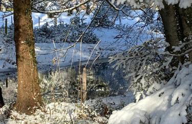 Dalvey Mill Cottage - Foto 20