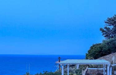 Villa Alisachni Andros - Foto 22