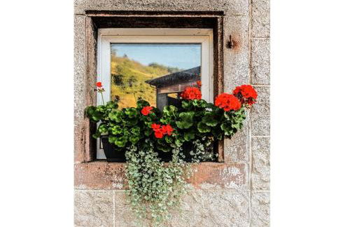 Ferienhof Giedensbach - Foto 8