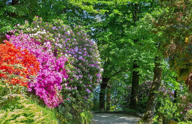 Casa Olivia Little Sweet Escape - Foto 36