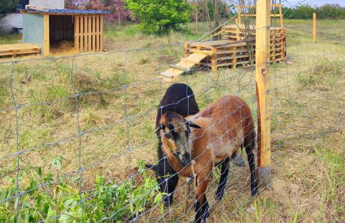 2 Bedroom Cozy Home In Kolsko - Foto 21