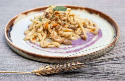 Tenuta Il Cicalino - Foto 13