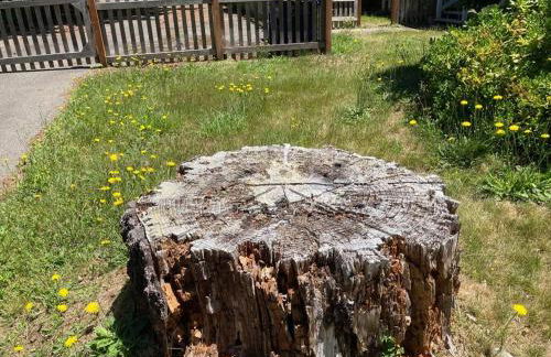 Coastal Studio - Foto 7