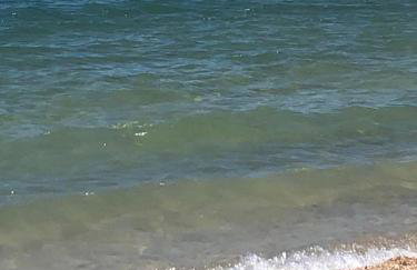 Apartments Perla - Foto 17